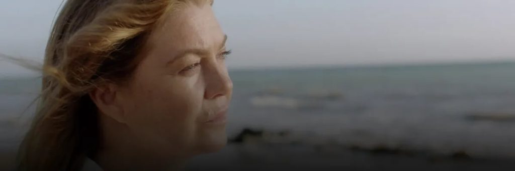 グレイズアナトミーシーズン17