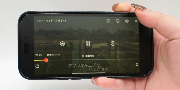 Lemino_秒飛ばし（10秒スキップ）の有無