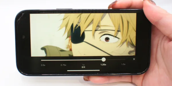 Netflix＿倍速再生