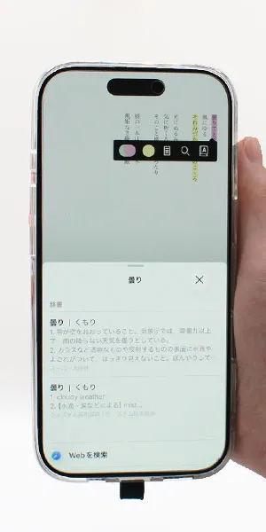 楽天Kobo_辞書引き